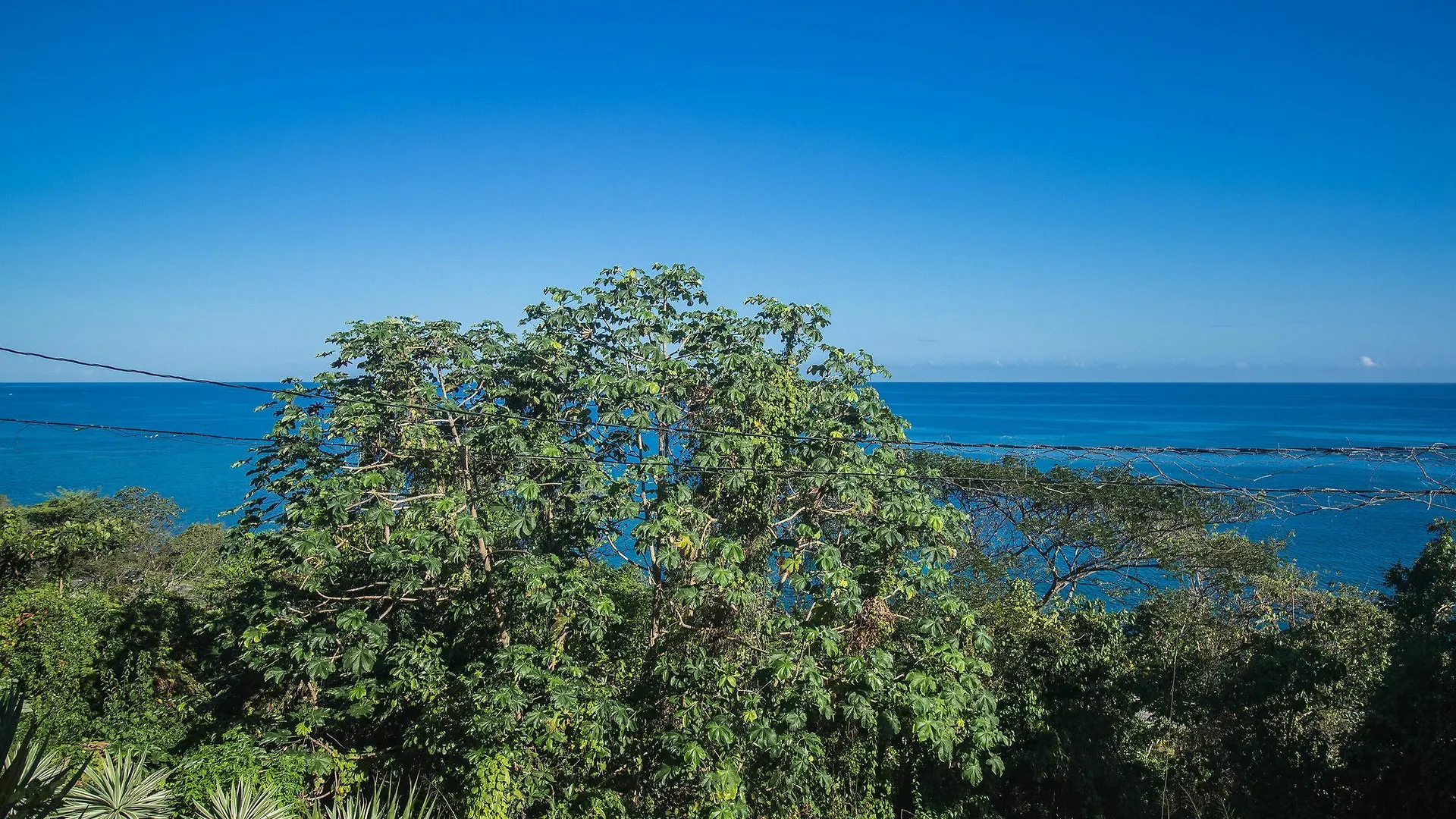 Tall Palms-Ocean View Hopewell 0*,  Jamaica